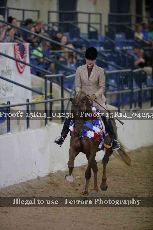 Proof Number 15R14_04253