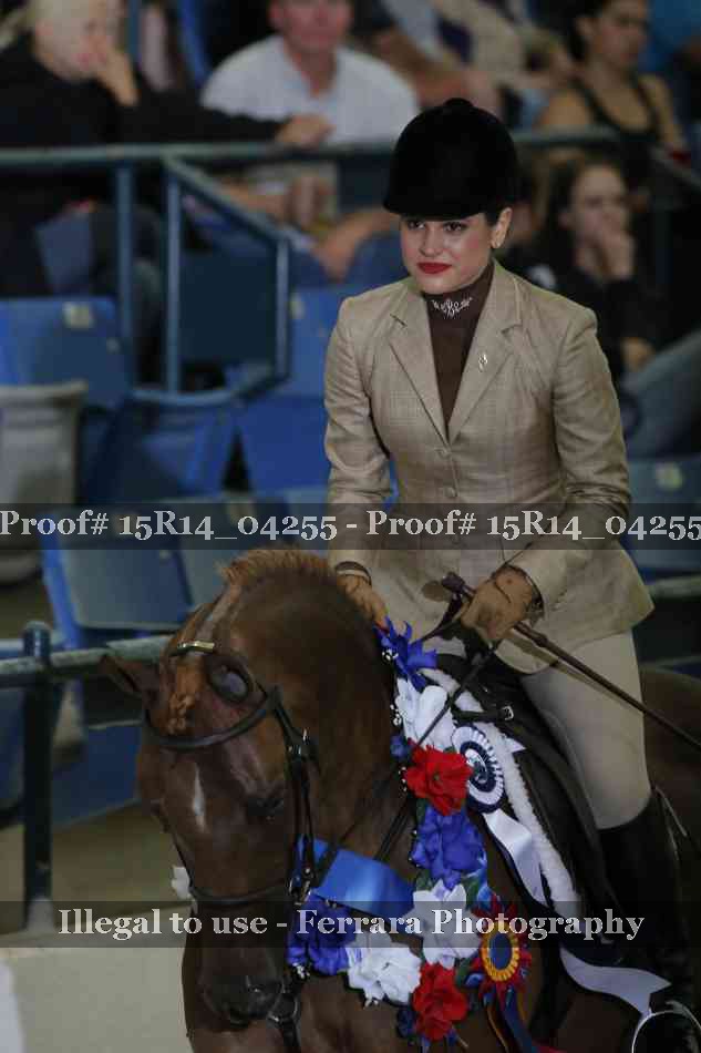 Proof Number 15R14_04255