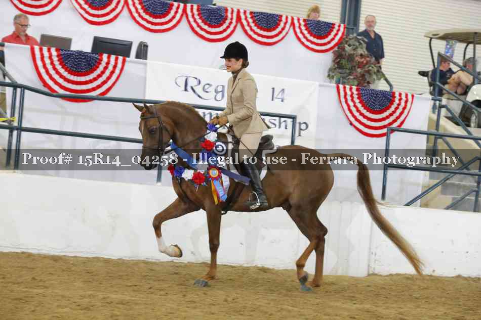 Proof Number 15R14_04258