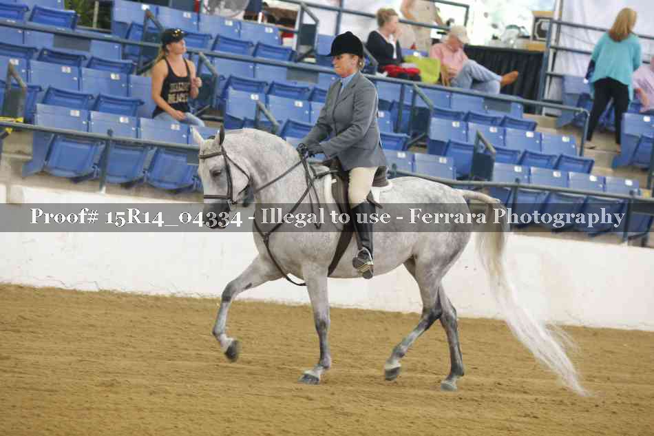 Proof Number 15R14_04334