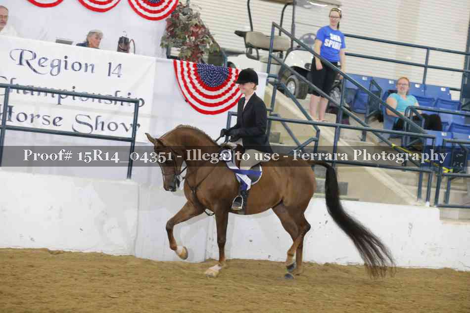 Proof Number 15R14_04351