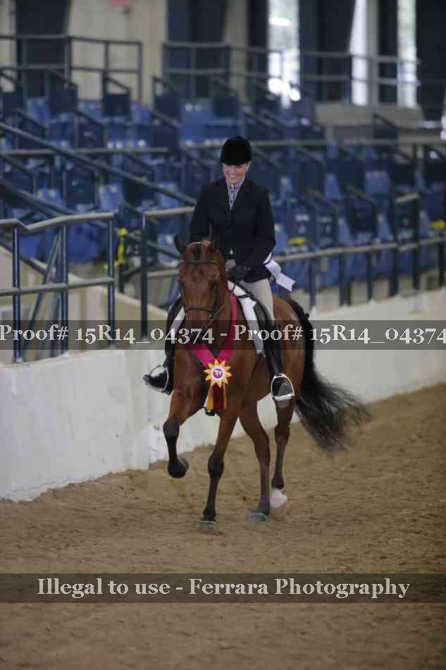 Proof Number 15R14_04374