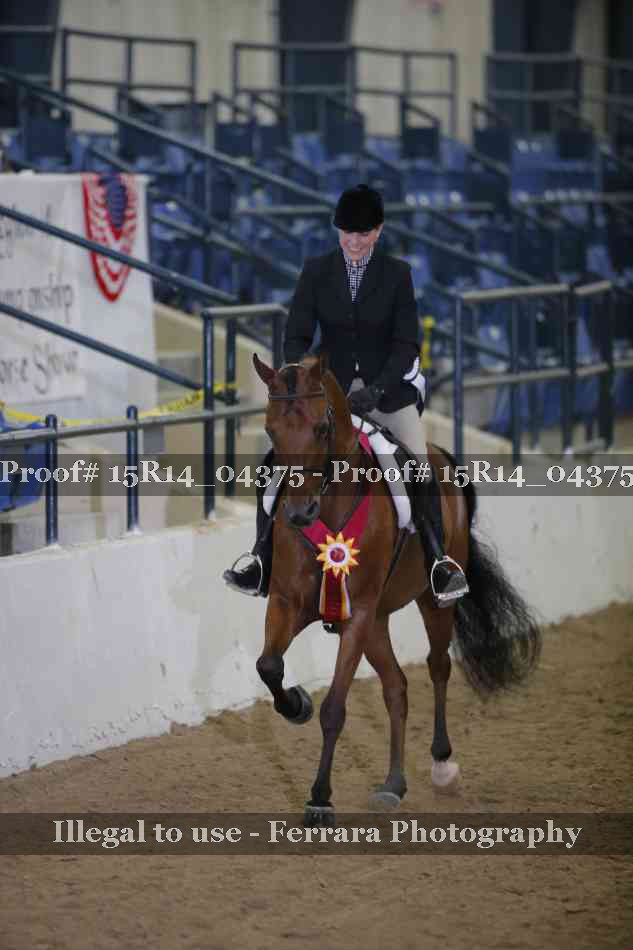 Proof Number 15R14_04375