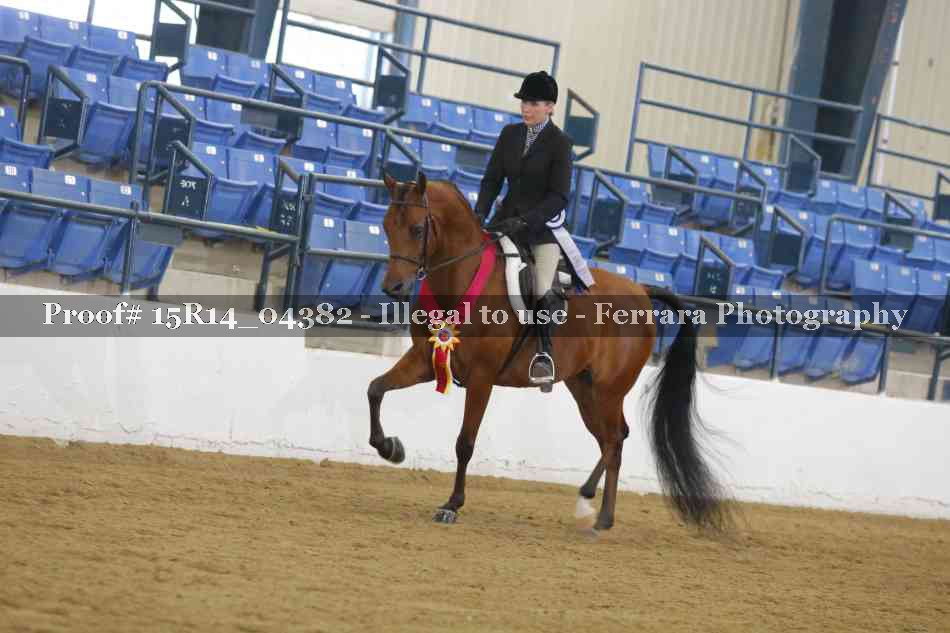 Proof Number 15R14_04382