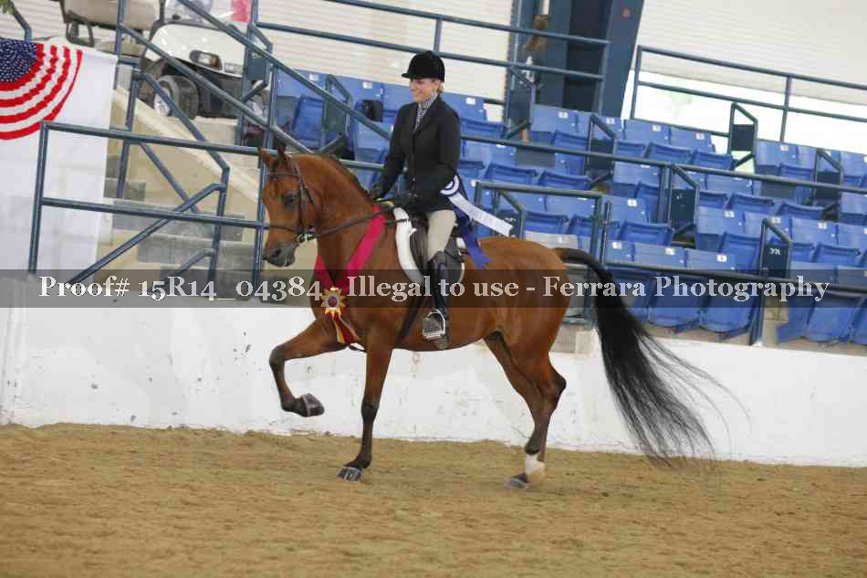 Proof Number 15R14_04384
