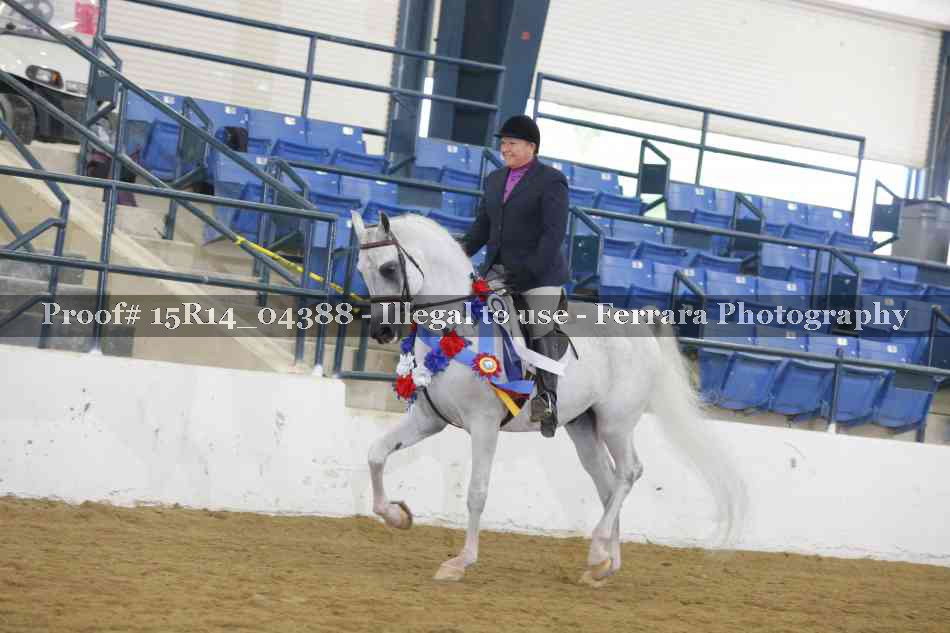 Proof Number 15R14_04388