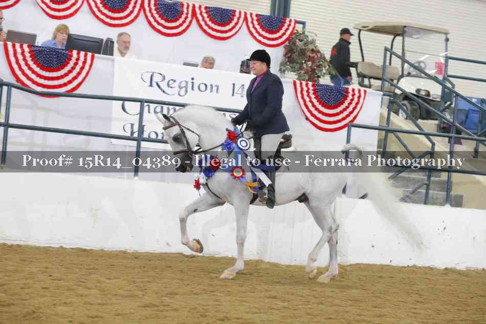 Proof Number 15R14_04389