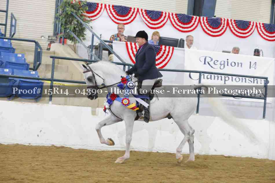 Proof Number 15R14_04390