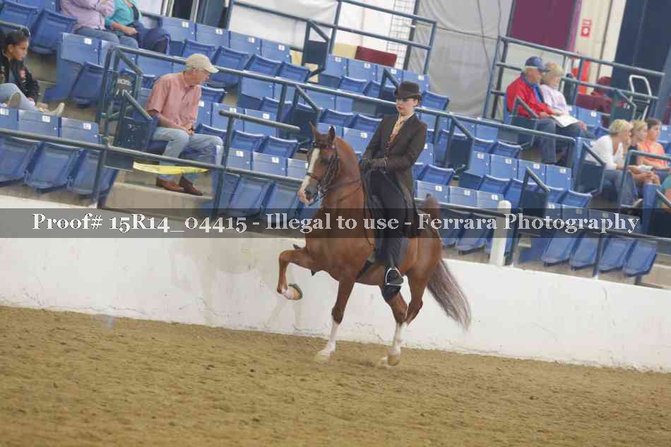 Proof Number 15R14_04415