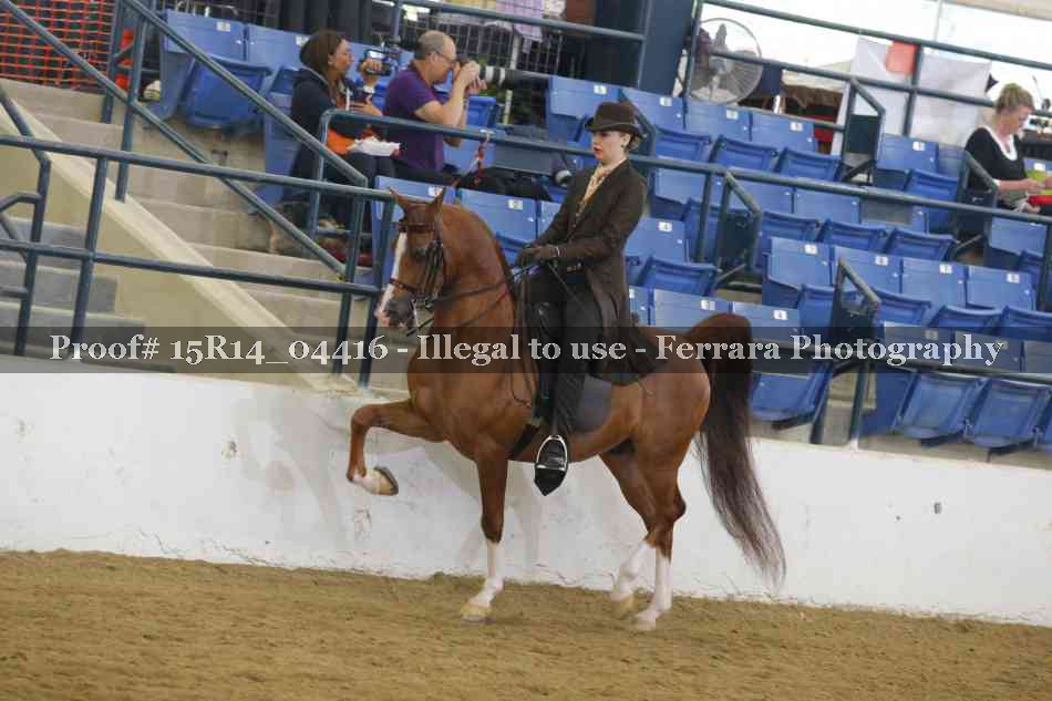Proof Number 15R14_04416