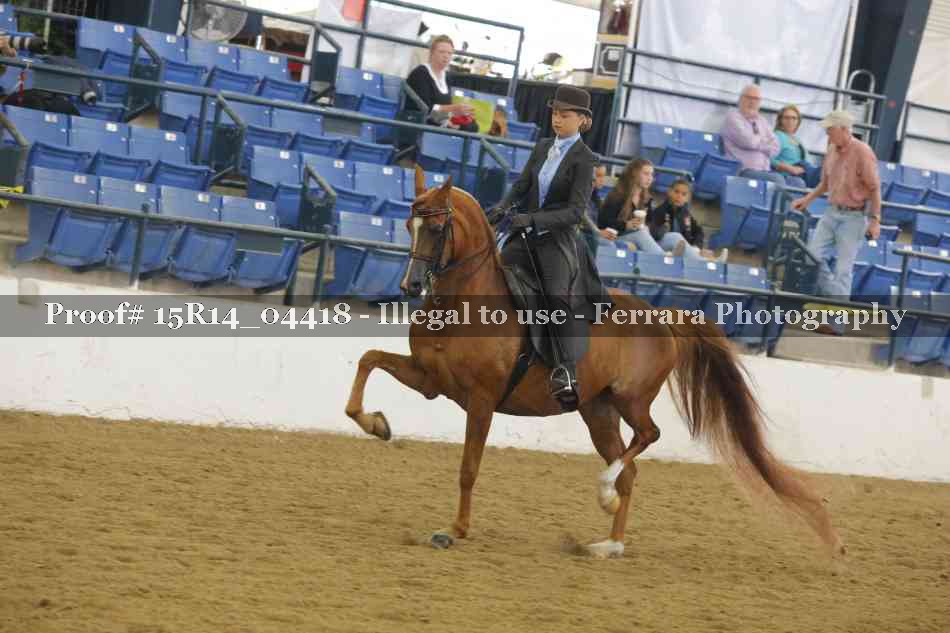 Proof Number 15R14_04418