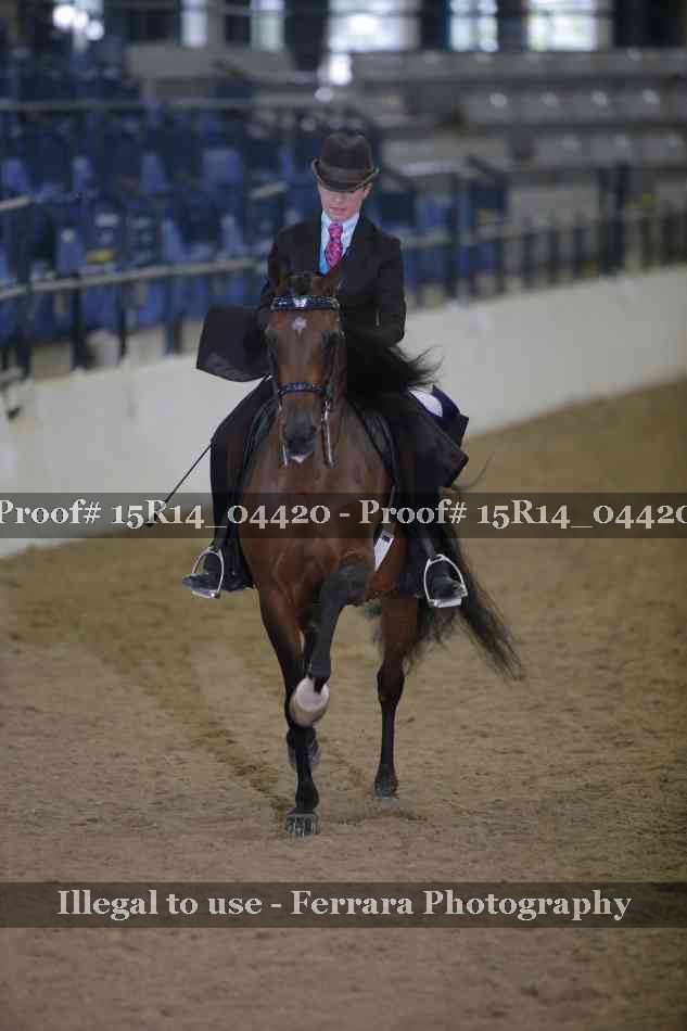 Proof Number 15R14_04420
