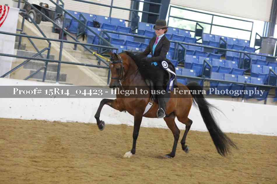 Proof Number 15R14_04423