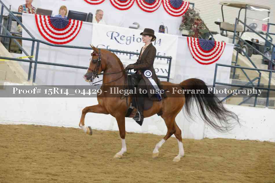 Proof Number 15R14_04429