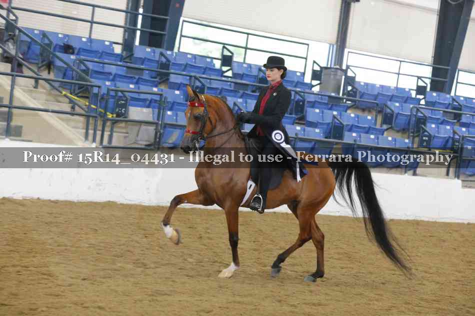 Proof Number 15R14_04431