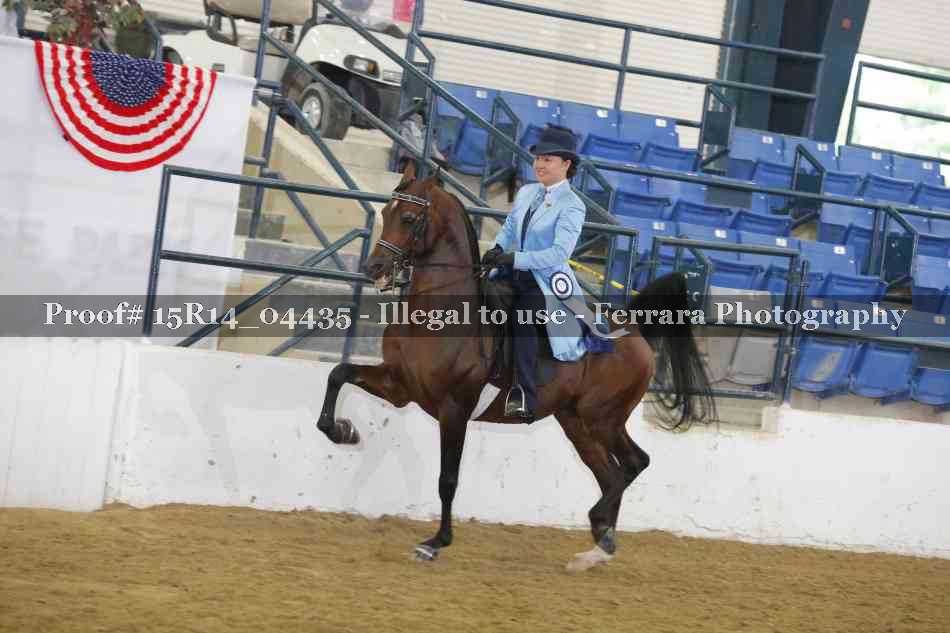 Proof Number 15R14_04435