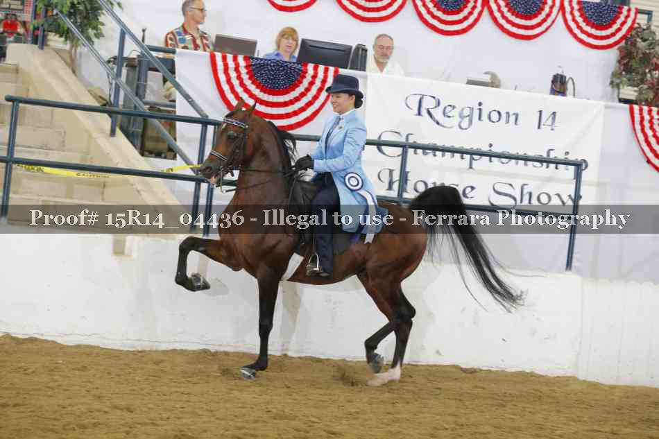 Proof Number 15R14_04436