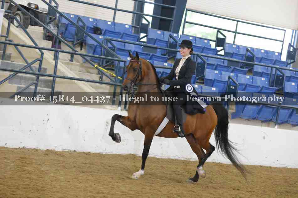 Proof Number 15R14_04437