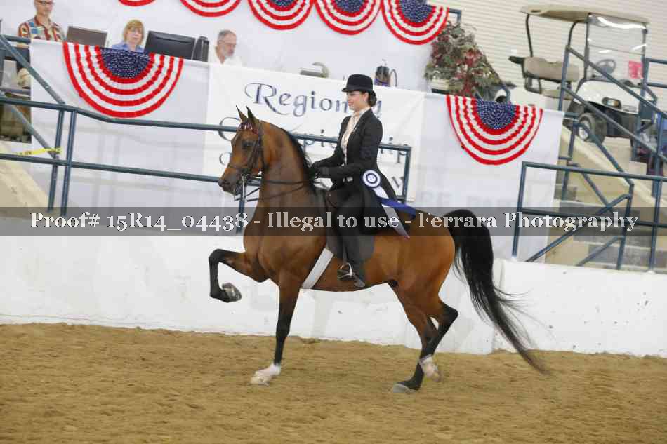Proof Number 15R14_04438