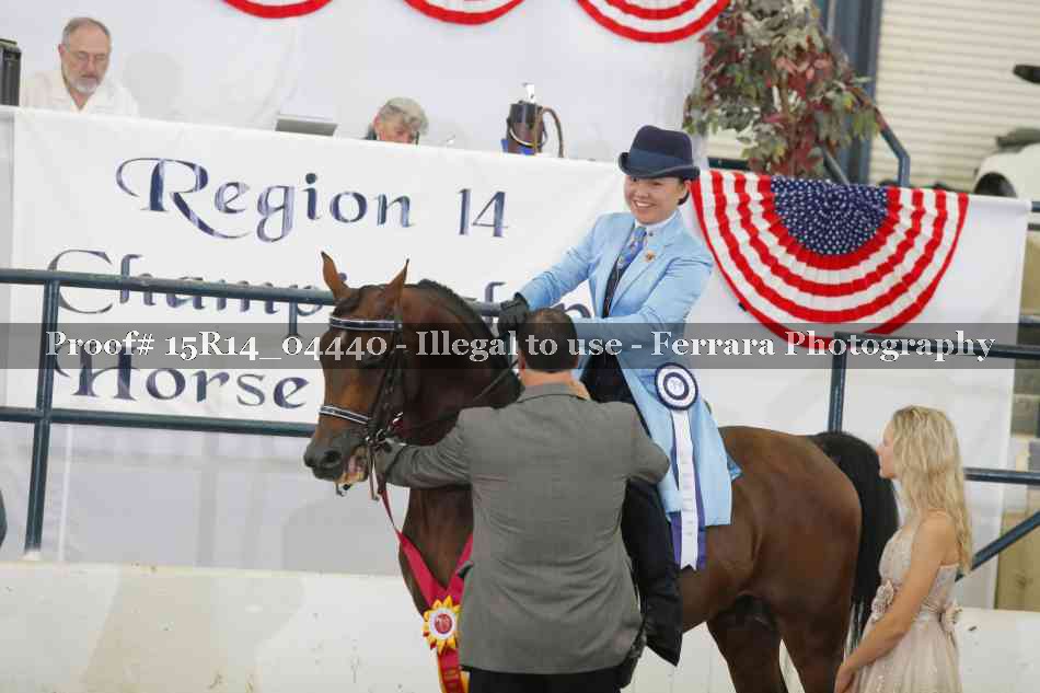 Proof Number 15R14_04440