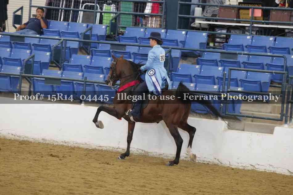 Proof Number 15R14_04445