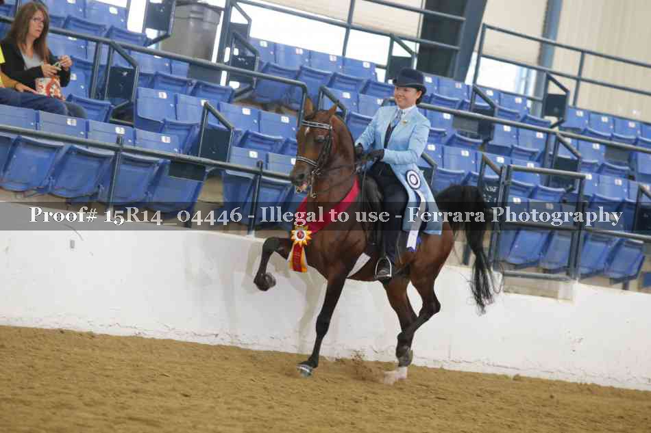 Proof Number 15R14_04446
