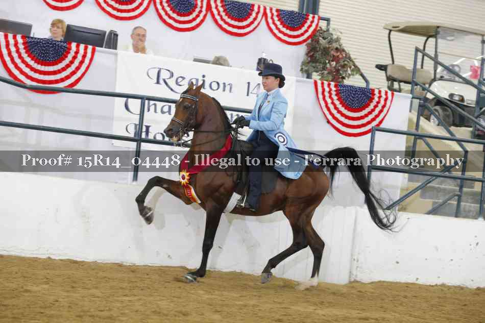 Proof Number 15R14_04448