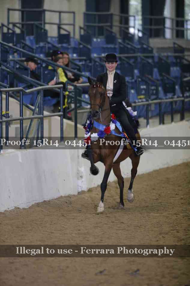 Proof Number 15R14_04451