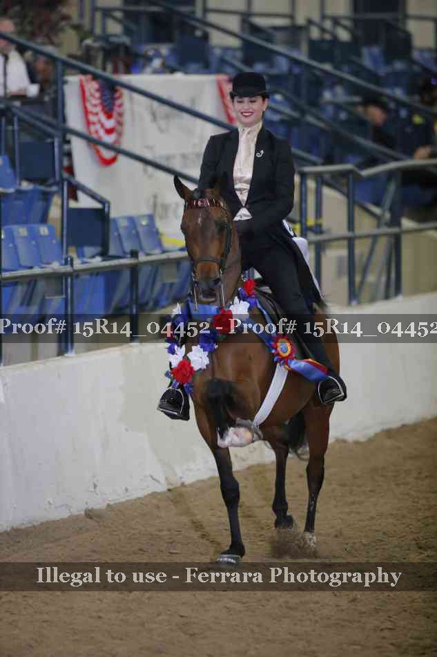 Proof Number 15R14_04452