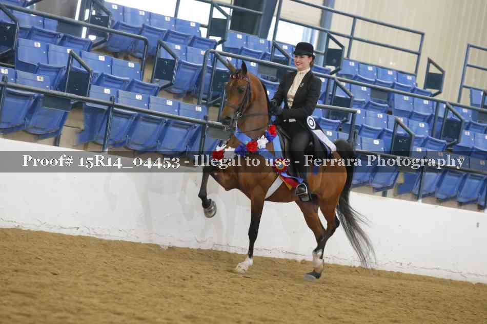 Proof Number 15R14_04453