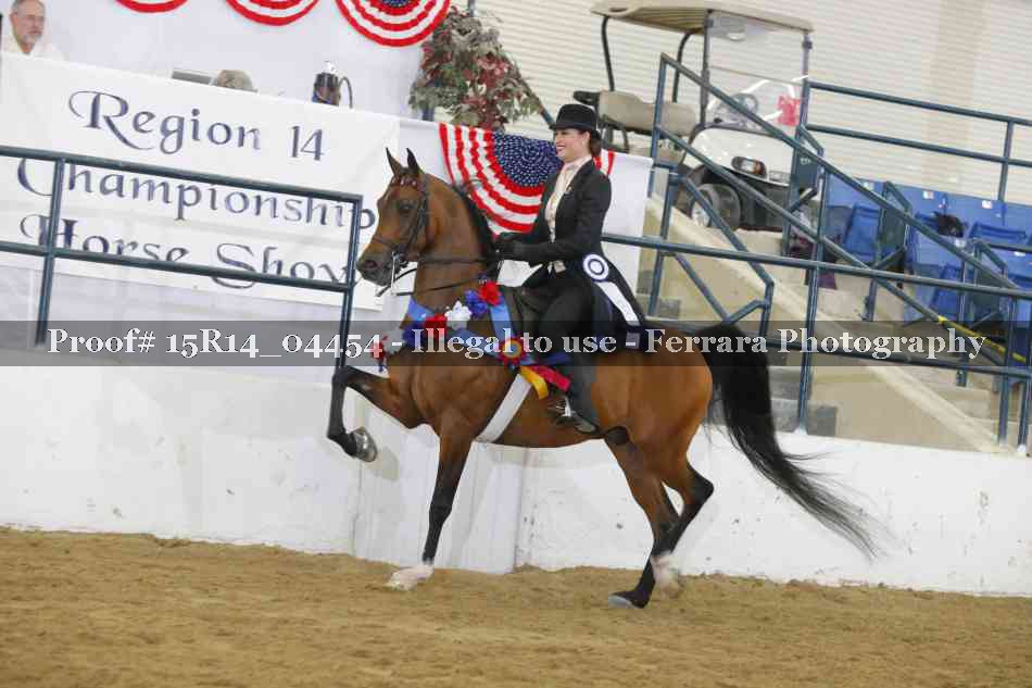 Proof Number 15R14_04454