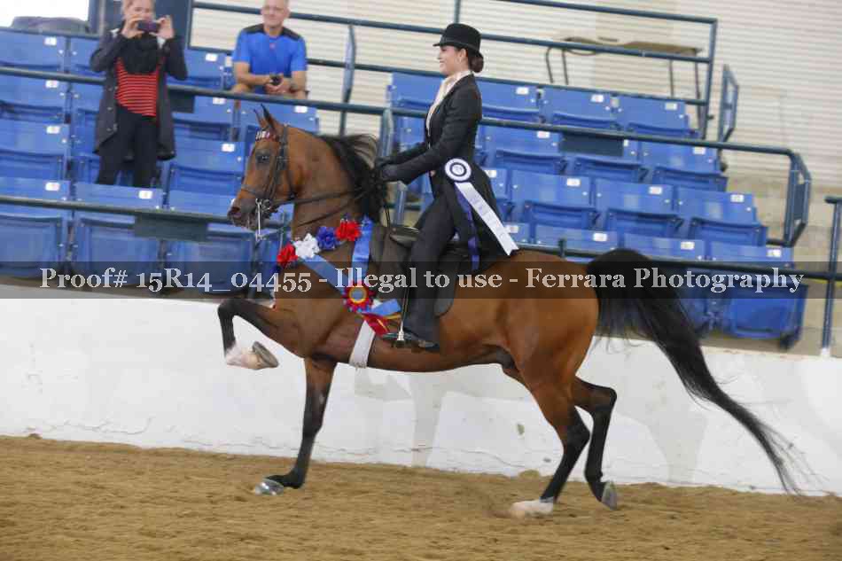 Proof Number 15R14_04455