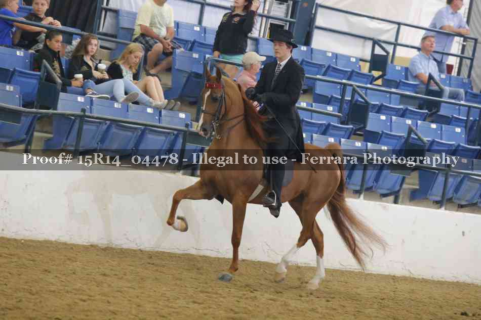 Proof Number 15R14_04478