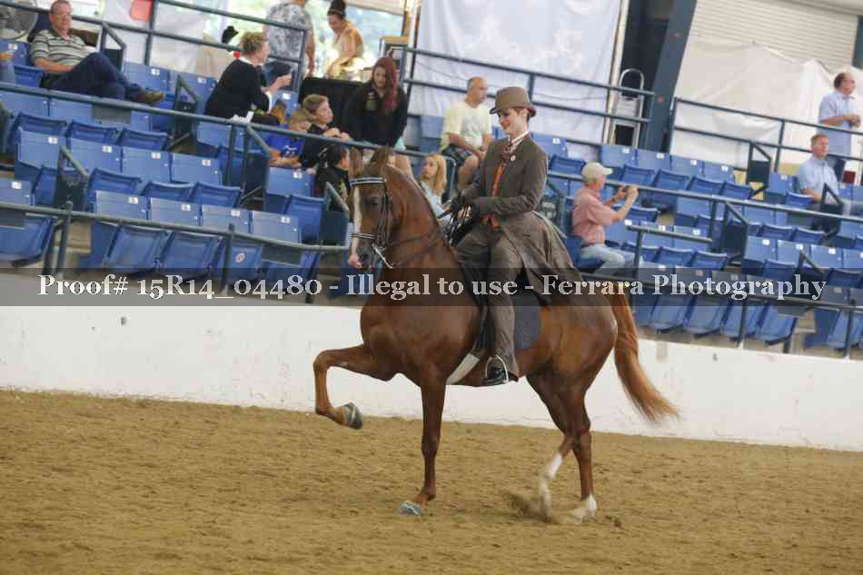 Proof Number 15R14_04480