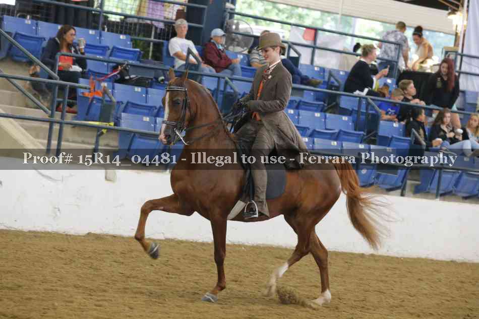 Proof Number 15R14_04481