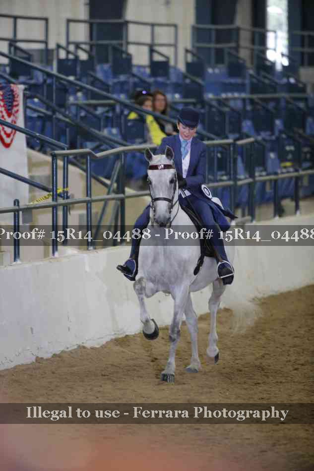 Proof Number 15R14_04488