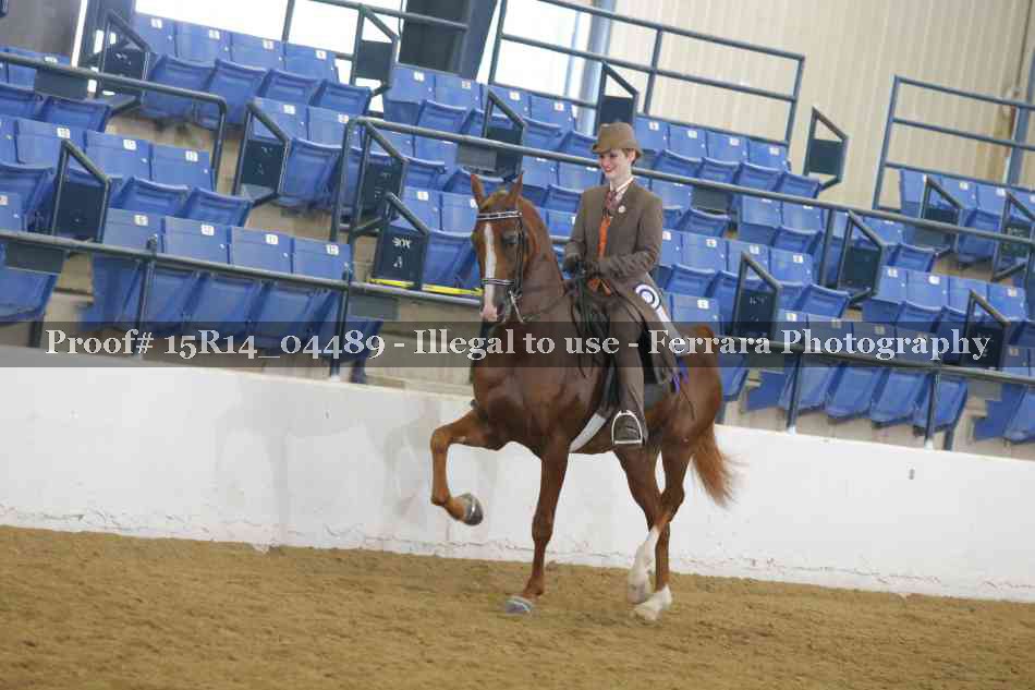 Proof Number 15R14_04489