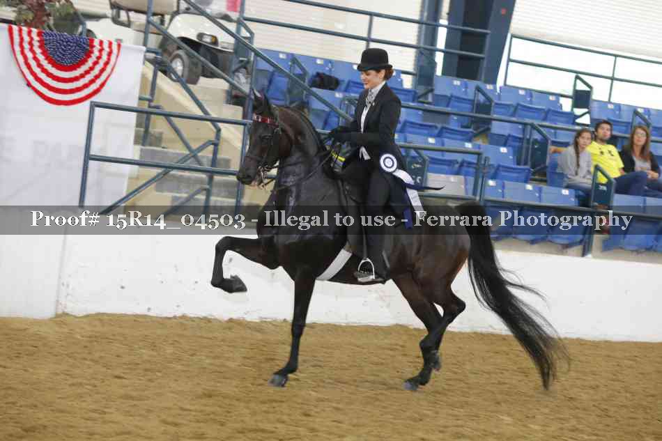 Proof Number 15R14_04503