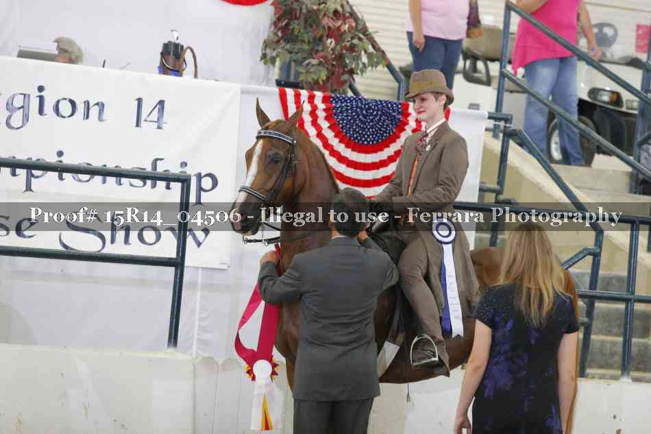 Proof Number 15R14_04506