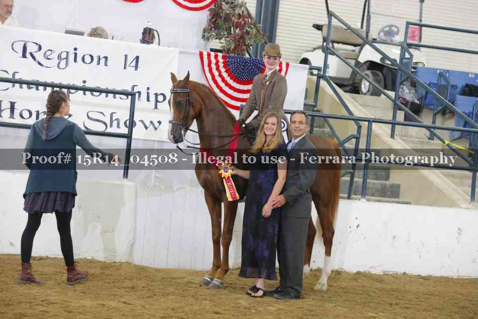 Proof Number 15R14_04508