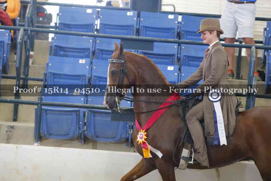 Proof Number 15R14_04510