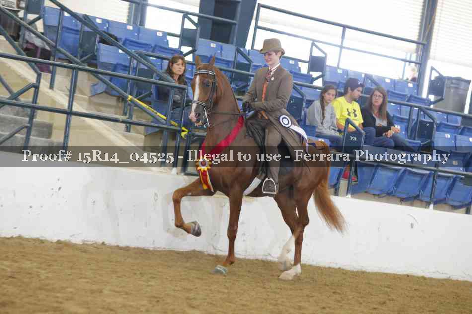 Proof Number 15R14_04525