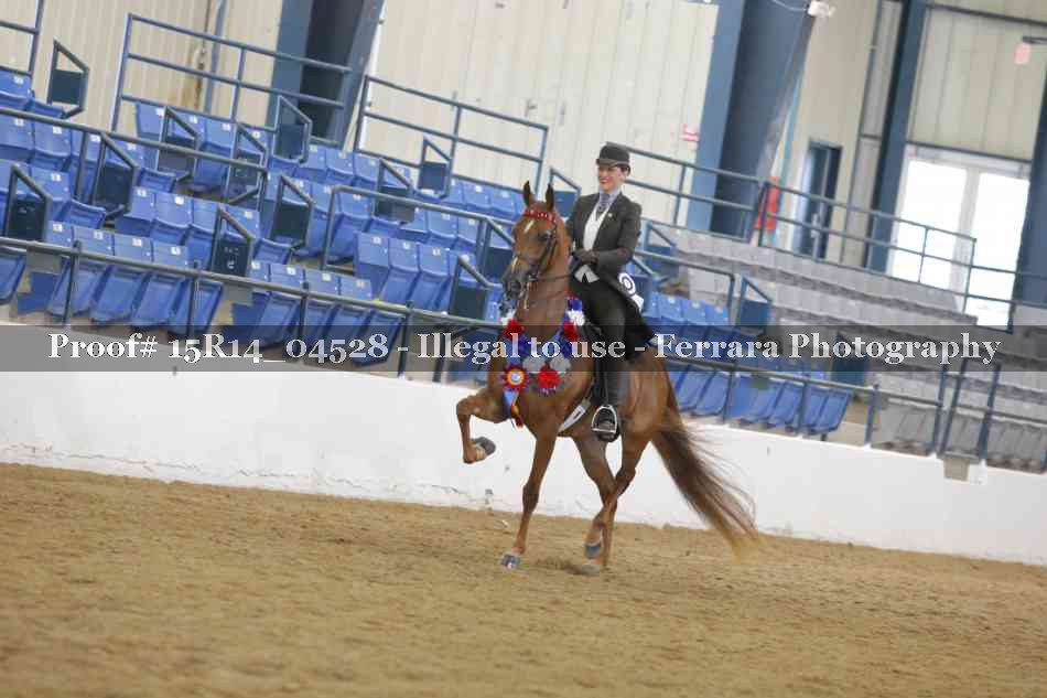 Proof Number 15R14_04528