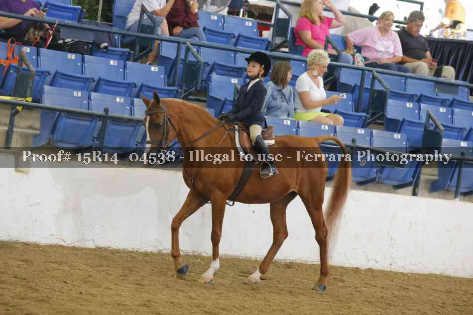 Proof Number 15R14_04538