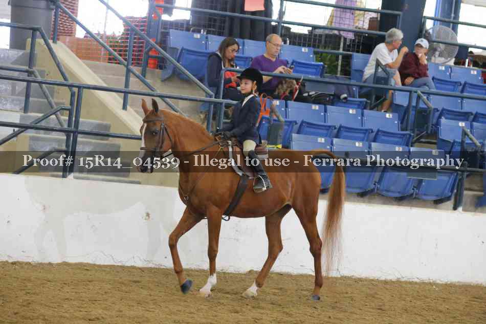 Proof Number 15R14_04539