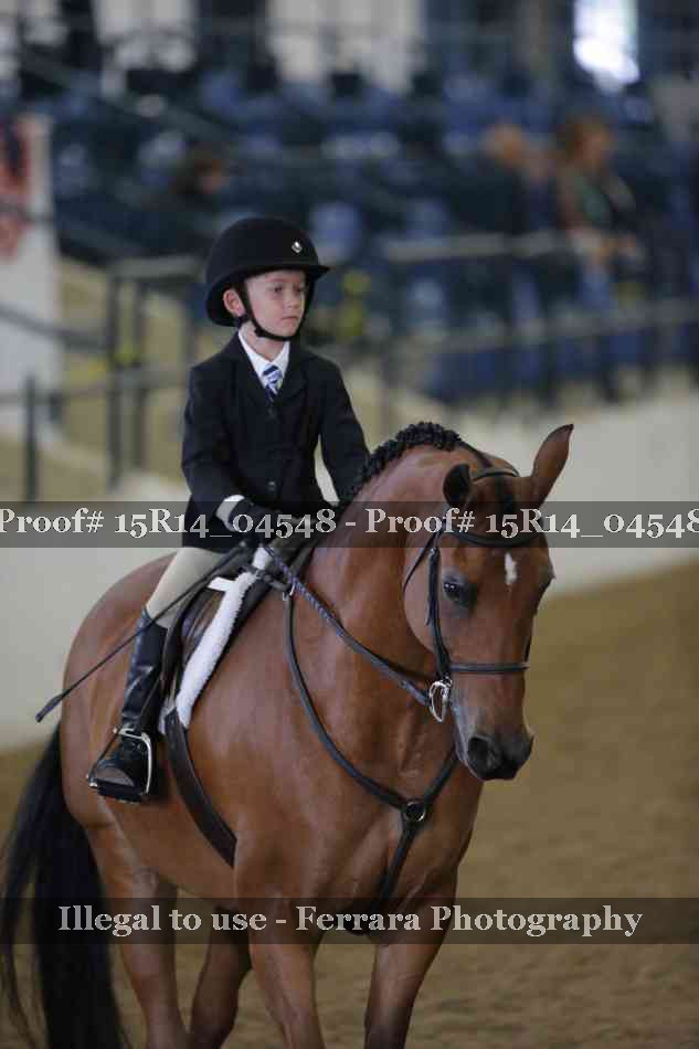 Proof Number 15R14_04548