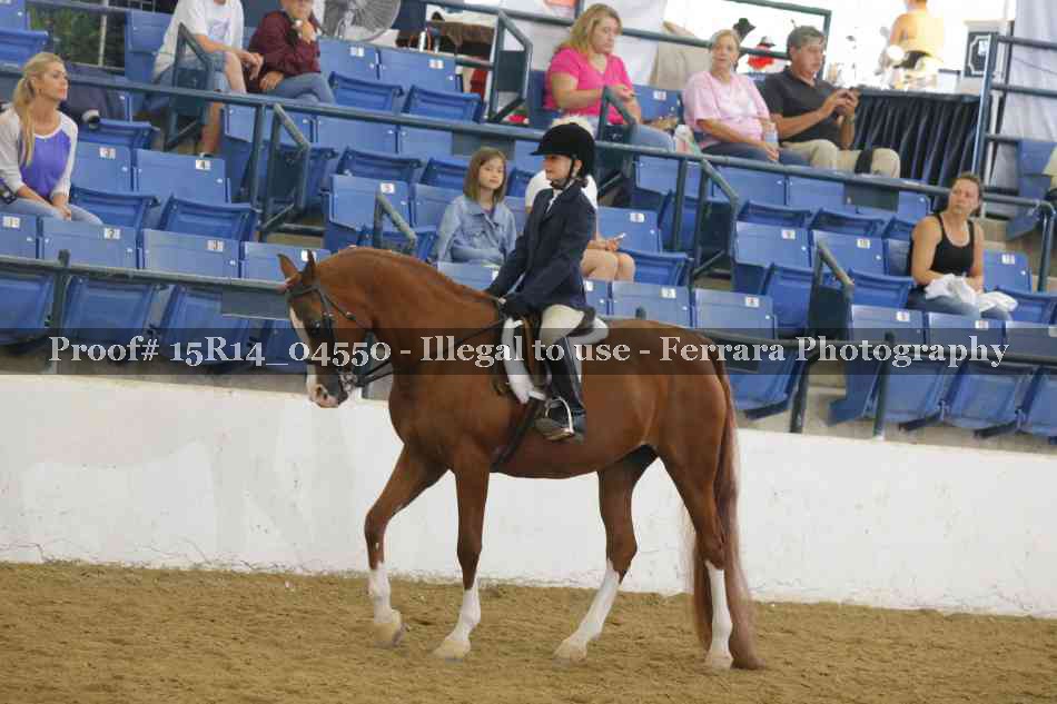 Proof Number 15R14_04550