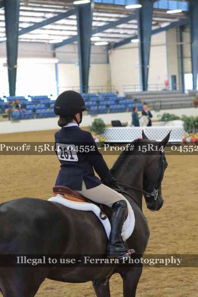 Proof Number 15R14_04552