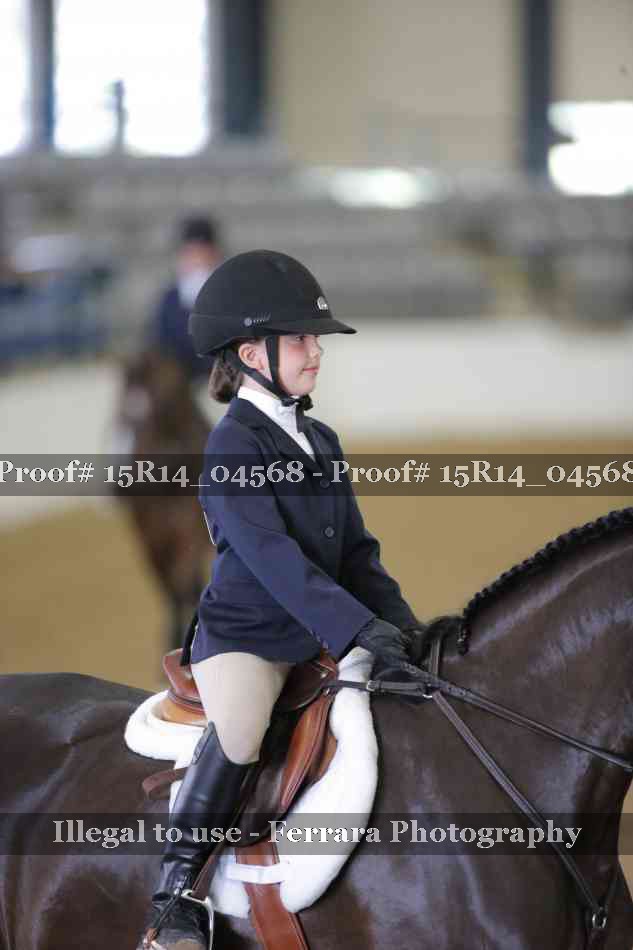 Proof Number 15R14_04568