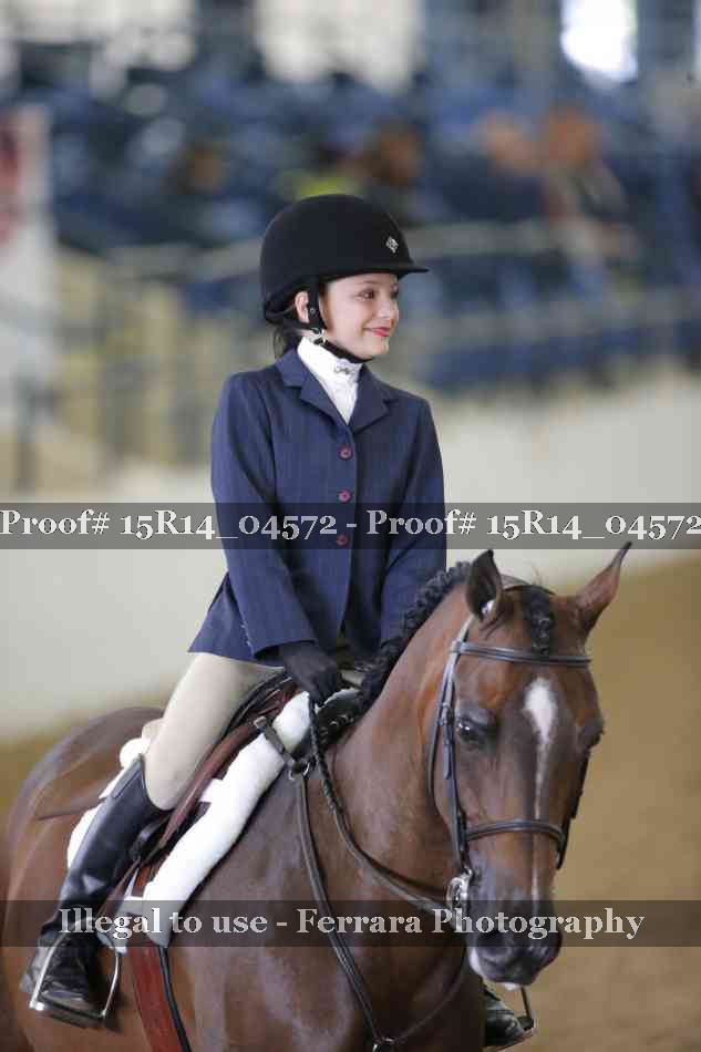 Proof Number 15R14_04572